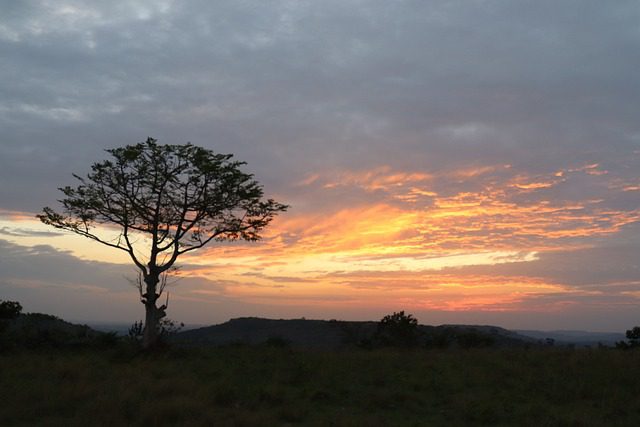 Uganda's Sunsets