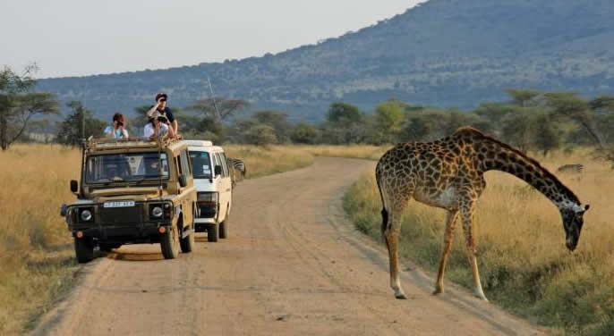 tanzania uganda safari 1