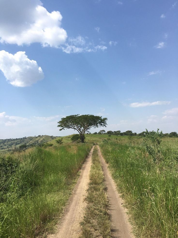 Best time to go on a Uganda safari - Queen Elizabeth NP Safari tracks in the wet season